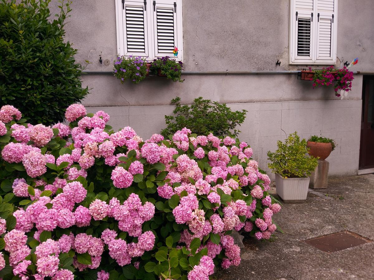 A Casa Di Silvy Vila Trieste Exterior foto